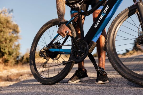 biciclete electrice