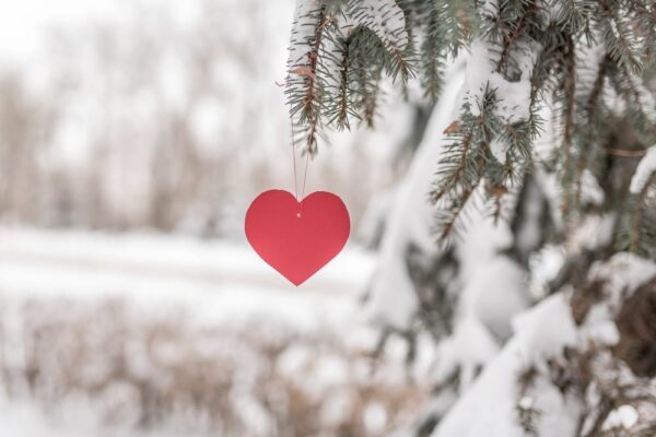 Horoscop februarie