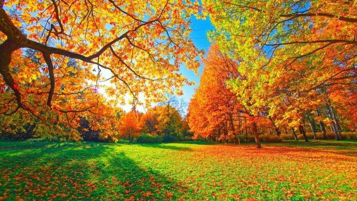 toamna-vremea-temperaturi-shutter_descopera-scaled-1