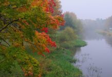 Prognoza meteo, 6 decembrie. Început de weekend cu vreme închisă și instabilă. Unde va ploua Prognoza meteo