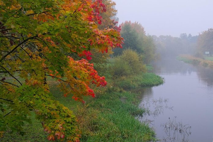 vremea-2 Prognoza meteo