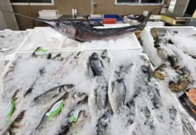 Peștele s-a scumpit cu aproape 8% în februarie 2026, înainte de sărbătorile Pascale. Cât ajunge pe masa românilor