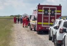 Elevă găsită moartă pe un câmp din Bihor. Suspectul, prins lângă locul crimei