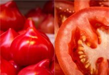 Pericolul roșiilor „perfecte” din piețe. Cum le recunoști pe cele cu pesticide