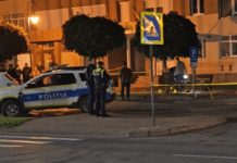 „Săriţi că mă omoară”. Ultimele cuvinte ale polițistului ucis de fiul său