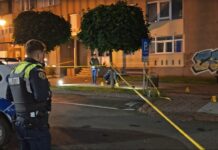 Detalii tulburătoare în cazul crimei din Neamț: Vlad a venit cu cuțitul de la București ca să își omoare tatăl